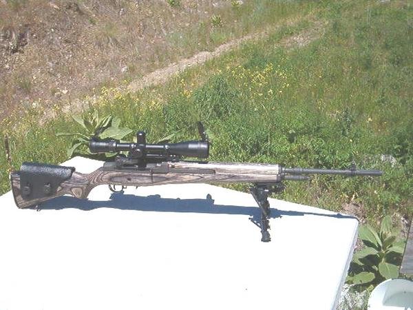 Precision Reloading for the M1A/M305