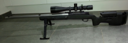 Wby Vanguard 6BR Tack Driver from Belgium