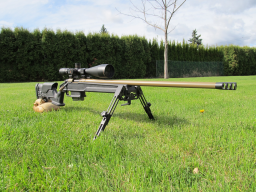 Promag Rem 700 SA Precision Stock